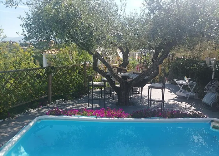Homart Roof King Pensjonat 4*